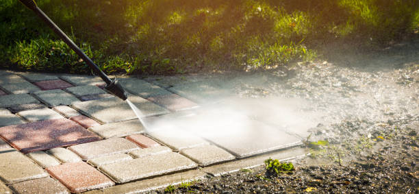Best Roof Washing  in Upland, PA